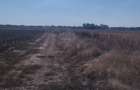 Vand teren intravilan arabil - 3