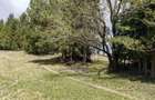 Teren intravilan, 3040 mp, Dealu Botii, com Belis, Comision 0 - 3