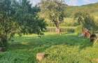 Casă cu Teren 2000 Mp în Călimănești - 6