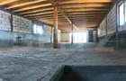 Casa (la rosu), Livada ?i Padure, Teren Generos ?i Plat - 12