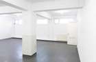 Spatiu ideal cabinet medical / clinica 310 mp utili, doua niveluri, Central - 3