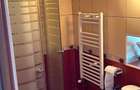 Proprietate specială, de 280 mp, în Dumbrăvița - 13