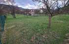 Teren intravilan 2400 mp Bradulet Arges | utilitati | 20/mp - 3