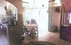 Apartament Plevnei / Orhideea - 9