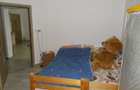 Casa individuala batraneasca, Ianova, 3 camere, 880 mp teren, asfalt, utilitati - 9