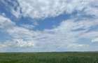 1,26 ha teren arabil lucrat | Tecuci | cultura grau | 2,5 mp - 1