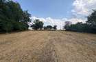 Teren intravilan 2580 mp - Hagiesti - 7
