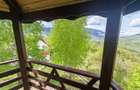 Super Oferta De Pret - Pestera Casa De Vanzare - Moeciu! - 3