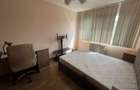Inchiriere apartament podu ros - 5