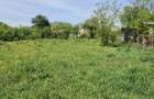 Casă individuală cu 3 camere cu Teren 3000 Mp în Florești-Stoenești - 7