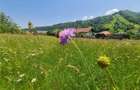 Teren intravilan de 2327 mp, în Județean - 19