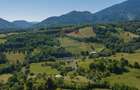 Teren intravilan de 5495 mp, în Bran - 5
