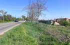 Teren Construcții intravilan de 600 mp, în Paleu - 5