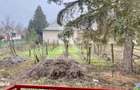 Casa din caramida | Teren 2000 mp|Anexe tradi?ionale | Bojt - 8