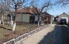 Casa locuibila, cu vie ?i livada - 3