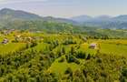 Teren extravilan de 2000 mp, în Peștera - 17