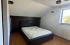 Casă individuală cu 5 camere cu Teren 1654 Mp în Viforâta - 11