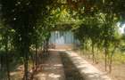 Proprietar vand casa Comision 0% - 10