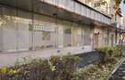 Spatiu comercial Satu Mare, Lucian Blaga - 8