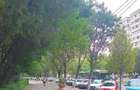 Garsonieră în Alexandru Obregia - 6