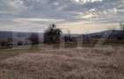Teren intravilan 3712 mp + 2600 mp extravilan in Dobrovat - 3