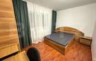 Apartament de inchiriat, 64 mp, zona Brazda lui Novac - 9