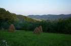 Vand teren in zona de deal-munte ,la 5 km de Manastirea Curtea de Arges,in com.Valea Iasului ,ARGES - 2