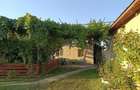 Casă cu 3 camere cu Teren 2200 Mp în Broșteni (Vișina) - 3