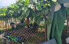 Garsoniera 27 m2 de vanzare 27.000 negociabil - 2
