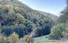 Teren pentru casa de vacanta pe Valea Bratcutei, Bihor - 12