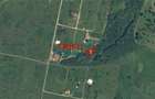 Teren in Podei de vanzare intravilan construibil