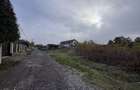 Teren deosebit in Branesti sat Pasarea ! - 9