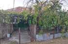 Casă cu 3 camere în Albeni - 1