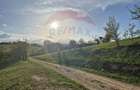 Teren Construcții de 11600 mp, în Poiana Mărului - 11