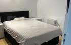 Luceafarul, apartament la cheie, cu parcare subterana - 8