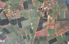 40 000 mp teren agricol, situat intre Ortisoara si Carani - 1