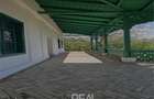 Conacul Poiana - Bihor - renovat - de vanzare - 6