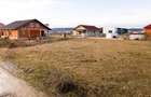 RECO Teren intravilan pentru loc de casa  hala industriala  700 mp Osorhei - 5