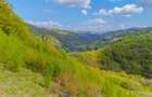 Teren agricol intravilan de 11342 mp, în Poiana Mărului - 10