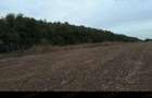 Teren intravilan, Gruiu, Lipia 400mp - 3