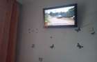 Apartament 2 camere decomandate str. Oituz - 5