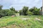 Casa cu 3 camere in Chisoda, teren 1480 mp - 10