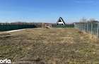 TEREN INTRAVILAN DE VANZARE SANPETRU- 1595 m2 - 3