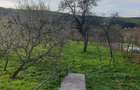 Casa cu sura 1850mp Marginimea Sibiului Rod jud Sibiu - 7