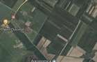Proprietar vand teren extravilan, Mihaile?ti, Giurgiu - 15 km de Bucure?ti - 3
