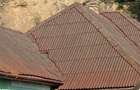 Casă individuală cu 3 camere cu Teren 460 Mp în Săsar - 4