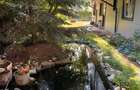 Proprietar vand apartament 2 camere cu curte proprie 113 mp - 10