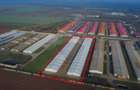 De vânzare – 2 hale industriale, 5.050 mp utili, Palota - 2