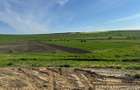 Teren intravilan,3950mp. Rosiorii! - 2