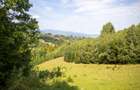 Comision0% Investitie turistica unica - Bran Sohodol 10131mp-Via Transilvanica - 4